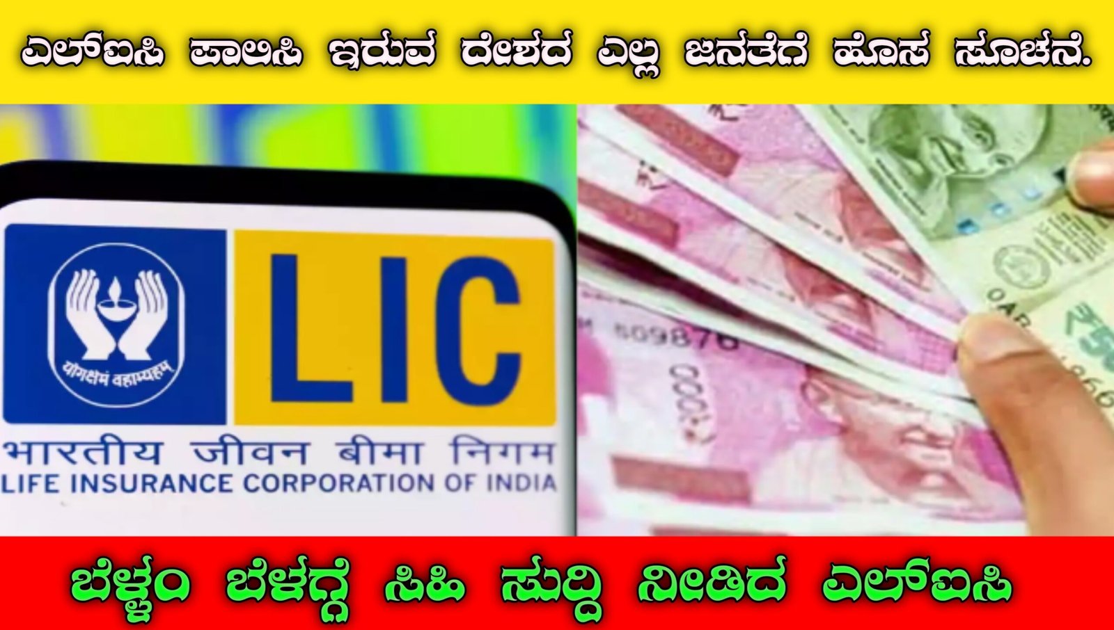 Lic policy