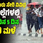 Rain Alert