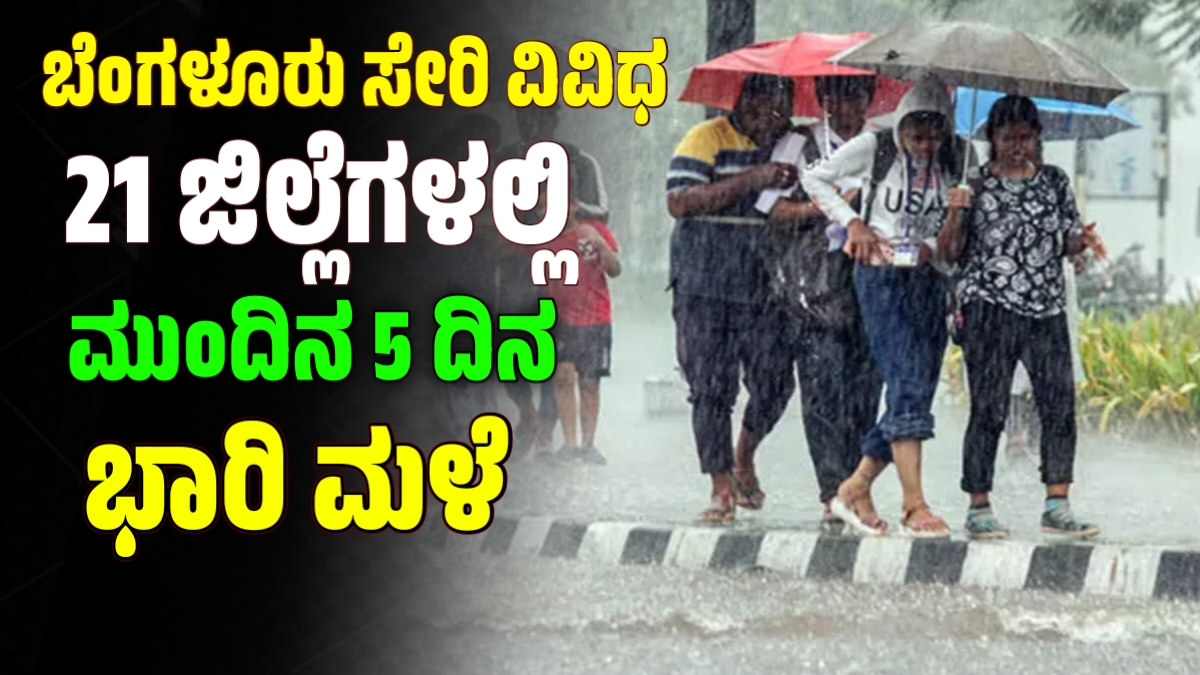 Rain Alert